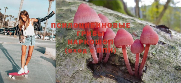 скорость Алексеевка