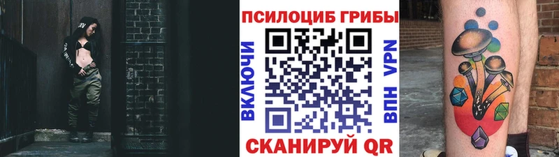 blacksprut   Сочи  Галлюциногенные грибы Cubensis 