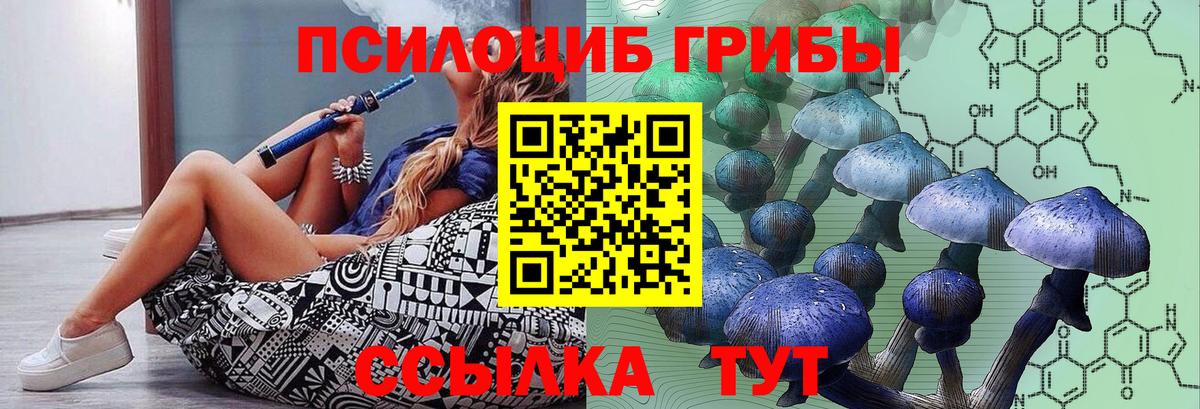 наркота  Псилоцибиновые грибы MAGIC MUSHROOMS  Вход с VPN  Сочи 