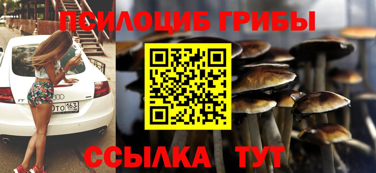 Галлюциногенные грибы Cubensis Сочи